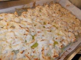 s_DSCN0718