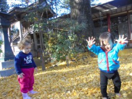 s_DSC03157