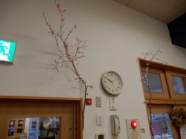 s_DSCN0173