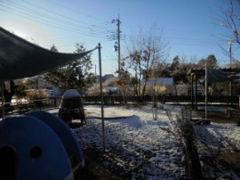 s_DSC03356