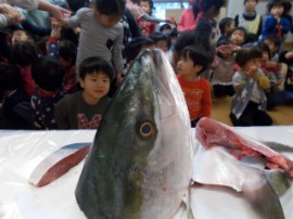 s_DSCN0940