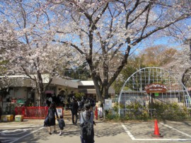 s_DSC03524