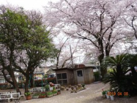 s_DSC06214