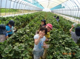 s_DSC06400