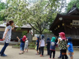 s_DSC06464