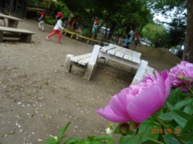 s_DSC06466 (1)