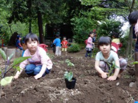 s_DSCN0537