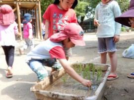 s_DSCN0582