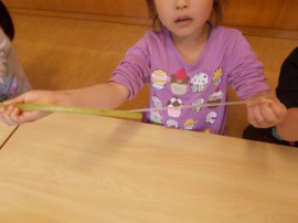 s_DSCN1349