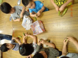 s_DSC06625