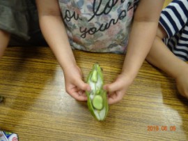 s_DSC06633