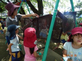 s_DSC06924
