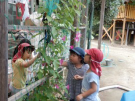 s_DSCN0959