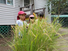 s_DSCN1701